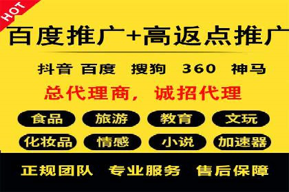 提升转化率：SEM竞价专员的案例研究