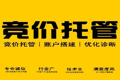 竞价托管服务深度解析：企业如何借助其提升业绩？